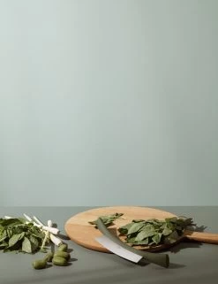 Eva Solo Green Tool Herb Chopper, Green -Kitchencia Shop 531522 3