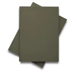 Eva Solo Green Tool DoubleUp Cutting Board, Green -Kitchencia Shop 531529 2