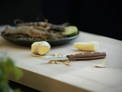 Fiskars Norr Peeling Knife -Kitchencia Shop Fiskars Kitchen Environmental Norr Peeling knife ginger 1016475 28129