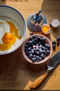 Kitchencia Shop 27 Alessi Kitchen Timer, Blue